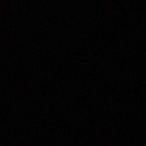 Meet your Posher, Penelope